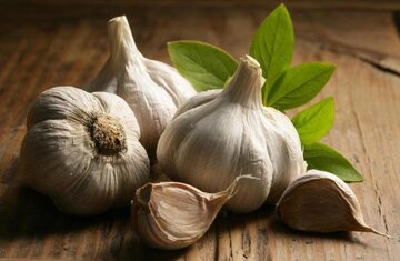 خطرناکترین روش نگهداری سیر که میتواند مرگبار باشد!