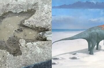 در بریتانیا ردپای دایناسور پیدا شد / عکس