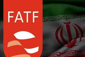 رمزگشایی معاون پیشین بانک مرکزی از ماجرای FATF / سیدعلی: تأخیر در ارسال اطلاعات علت ماندن ایران در لیست سیاه بود