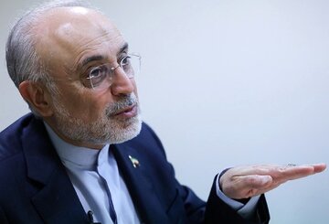 «روایت وطن در سینمای ایران»؛ پیوند هنرمندان با بنیاد ایرانشناسی