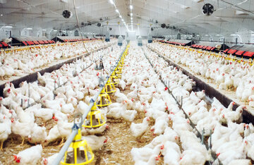 سازمان دامپزشکی هشدار داد