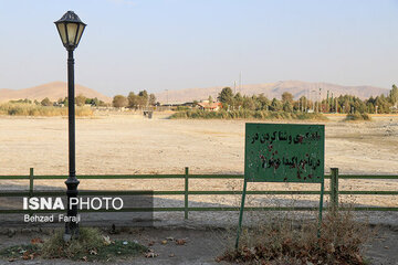 «سراب نیلوفر» خشک شد