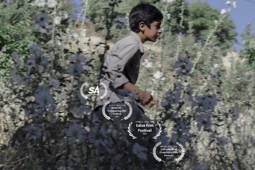 سیب قرمز ایرانی در لهستان، اسپانیا، آفریقای جنوبی و آلمان/ «سوور» در چهار جشنواره جهانی فیلم