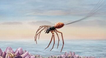 عنکبوتهای پرنده، کابوسهایی در دل طبیعت