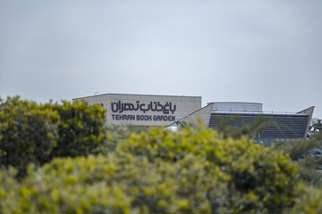 مزایده شبههدار یا انتخاب برنامهریزیشده؟