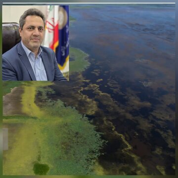 مطالعات مرتبط با احیای تالاب انزلی در دست انجام است