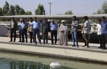 موفقیت تیمهای دانشگاه ولی عصر(عج) رفسنجان در رویداد ملی رباتیک جام آبی یزد