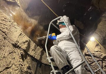 میکروبهای ۴۰ هزار ساله از خواب یخی بیدار شدند!