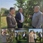 نوید سالی پربار برای باغداران لنگرودی