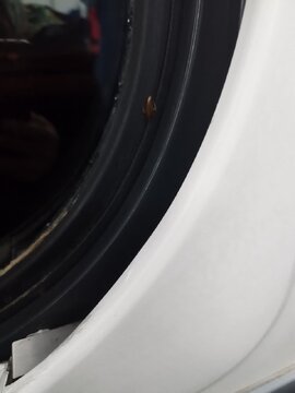 جولان سوسک‌ها در قطار تهران-پرند