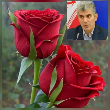 رئیس سازمان جهاد کشاورزی گیلان خبر داد:
وجود بالغ بر ۱۵۰۰ واحد گلخانه در گیلان/ تولید ۳.۶ میلیون شاخه گل بریده