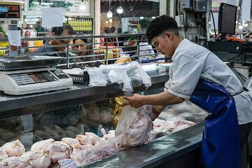 زنگ خطر در بازار؛ مرغ کیلویی ۲۵۰ هزار میشود؟