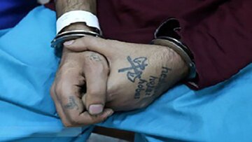 سارق تبر به‌دست با شلیک پلیس زمین‌گیر شد