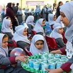 شیر مدارس چرا توزیع نشد؟/ پاسخ صریح صنعت لبنیات