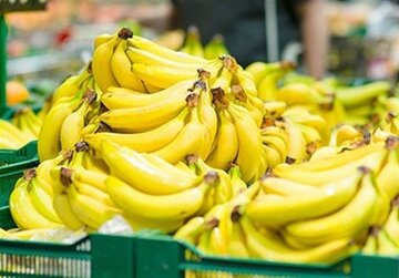 قیمت موز باید بسیار پایین تر باشد/ رانت واردات موز در قبال صادرات سیب
