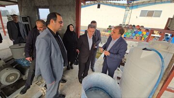 مدیرعامل شرکت کشت و صنعت گلدشت افشره :عرضه پرتقال پاسخگوی ظرفیت کارخانه نیست