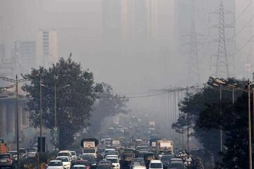 منشأ «مهدود» شهرهای شمالی چیست؟