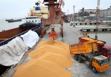 هشدار سازمان بازرسی به وزارت جهاد کشاورزی درباره نهاده‌های دامی: اقدام خالی فروشی واردکنندگان باعث نارضایتی واحدهای تولیدی شده