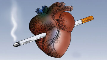 پژوهش تکاندهنده: ۱۰۰ نخ سیگار در طول عمر کافی است تا قلب را آسیبپذیر کند