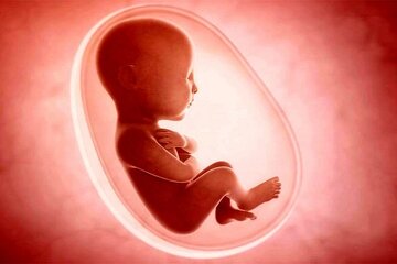 ۸۰ درصد شاکیان سقط جنین مردها هستند/ مواردی که قاضی اجازه سقط جنین قانونی نمیدهد