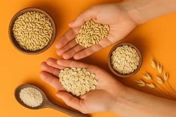 برنج دوست دارید؟ اینبار جو را امتحان کنید!