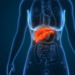 تضمین سلامت کبد با مصرف این ویتامین‌ها