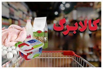 خبر مهم وزیر کار درباره زمان قطعی اجرای طرح کالابرگ/ جزییات واریزی جدید دولت اعلام شد + مشمولان