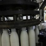 خبر مهم وزیر کشاورزی برای کالابرگ بگیران؛ افزایش قیمت لبنیات اصلاح می شود؟