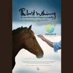 راهیابی «آخرین شیهه…» به جشنواره شنژن چین/ نامزدی جایزه بهترین فیلمبرداری