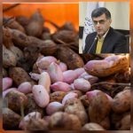 فرماندار آستانه اشرفیه:
همه جای کشور، بادام زمینی را به نام آستانه اشرفیه می شناسند