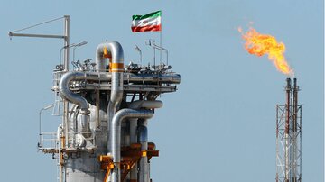 مجوز ویژه پایان سال/ صادرات فرآورده‌ها با شروط عجیب سه وزارتخانه