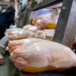 مرغ ۴۰۰ هزار تومانی در راه است؟/ زنگ خطر به صدا در آمد