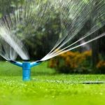 امسال توسعه درختکاری نداریم؛ تمرکز بر حفظ فضای سبز موجود در بجنورد