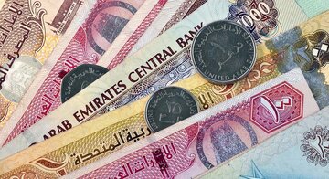 بهای ارزهای عربی در بازار امروز ۱۷دی/دینار عراق گران شد، درهم تغییر کانال داد