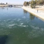 دریاچه این سد مهم کشور یخ بست/ میزان ذخیره آب دریاچه اعلام شد