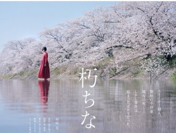 «شکوفههای گیلاس» در راه شبکه نمایش