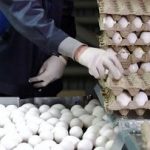 قیمت جدید تخممرغ اعلام شد/ مغازهدار تخممرغ را باید با چه قیمتی بفروشد؟