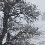 هشدار هواشناسی خراسان شمالی:بارش برف، یخبندان و وزش باد شدید از سهشنبه تا پنجشنبه