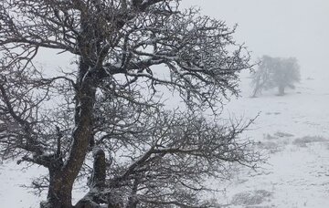 هشدار هواشناسی خراسان شمالی:بارش برف، یخبندان و وزش باد شدید از سهشنبه تا پنجشنبه