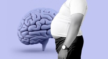 وقتی وزنِ اضافه، ذهن را سنگین میکند/ چاقها حواسپرتتر هستند؟/ چاقی شکمی، زنگ خطری برای مغز