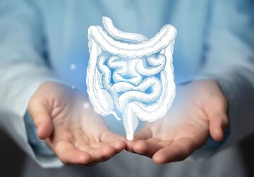 ۵ روش ساده برای بهبود سلامت روده