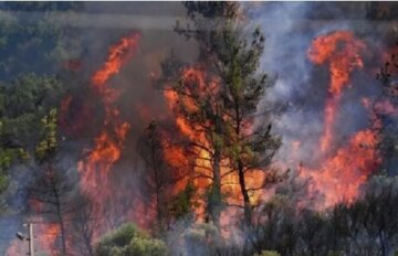 آتشسوزی عمدی در پارک ملی بوجاق مهار شد