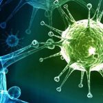 آخرین وضعیت بیماری نیپا/ این ویروس فعلا هیچ دارو یا واکسنی ندارد/ در کدام کشورها دیده شده؟