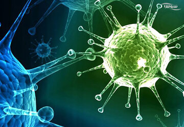آخرین وضعیت بیماری نیپا/ این ویروس فعلا هیچ دارو یا واکسنی ندارد/ در کدام کشورها دیده شده؟