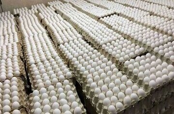 اعتراض روزنامه اصولگرا به ارزانی تخم مرغ/ قیمتش حتی از دان مرغ هم کمتر است