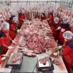 ایران با کشور همسایه وارد یک معامله عجیب شد/واردات گوشت از پاکستان به ازای صادرات این کالا