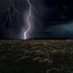 برترین آثار هنری که ۲۰۲۵ به نمایش درآمدند