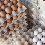 تخممرغ ۵۰۰ هزار تومانی در راه است؟/ قیمت تمام شده هر شانه تخممرغ اعلام شد