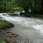 تغییر ویژه در ورودی آب به سدهای کشور/ میزان پرشدگی سدهای کشور اعلام شد/ خشکسالی بالاخره تمام شد؟