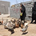 زمان پرداخت عیدی روستائیان مشخص شد